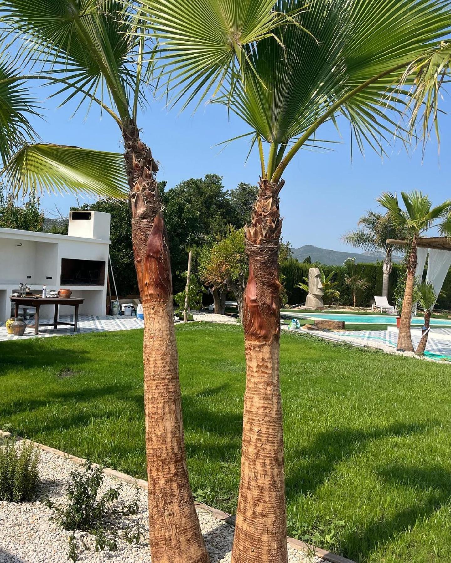 Casanoa Luxury Villa Bed And Breakfast Jávea Exteriör bild